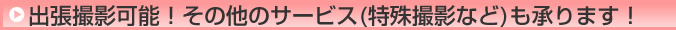 出張撮影可能！その他のサービス(特殊撮影など)も承ります！