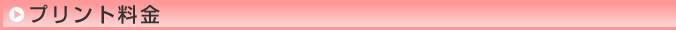 プリント料金