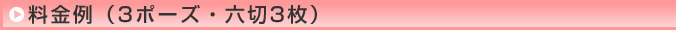 料金例（3ポーズ・六切3枚）