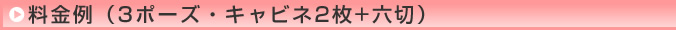 料金例（3ポーズ・キャビネ2枚+六切）