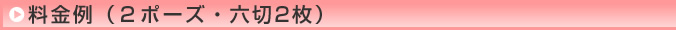 料金例（２ポーズ・六切2枚）
