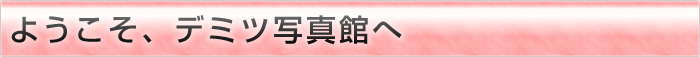ようこそ、デミツ写真館へ